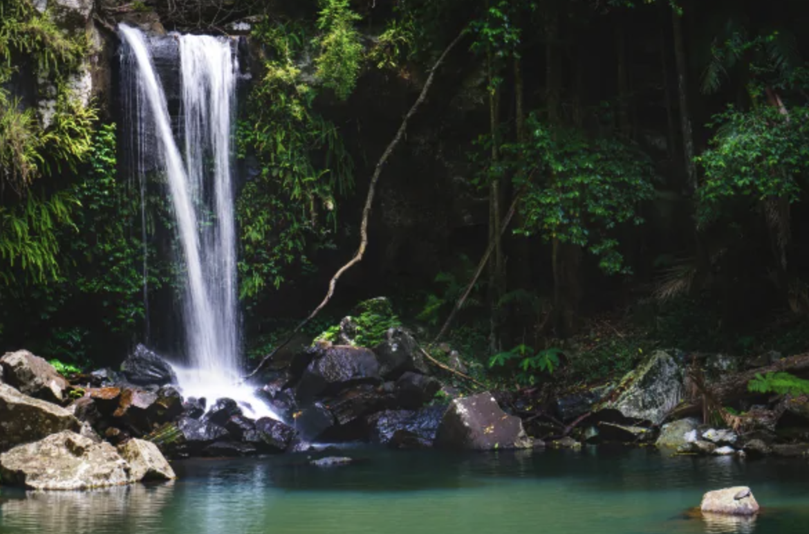 Beautiful Tamborine Mountain waterfall